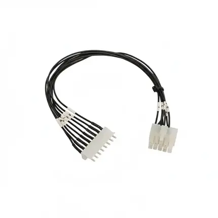 Custom AMP Series Electrical Wiring Harness