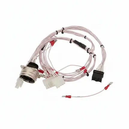 TE Connectivity AMP Series Wire Harness